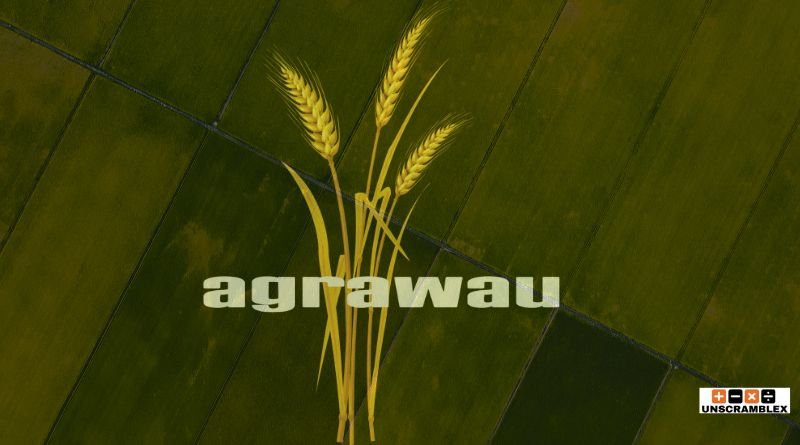 Agrawau