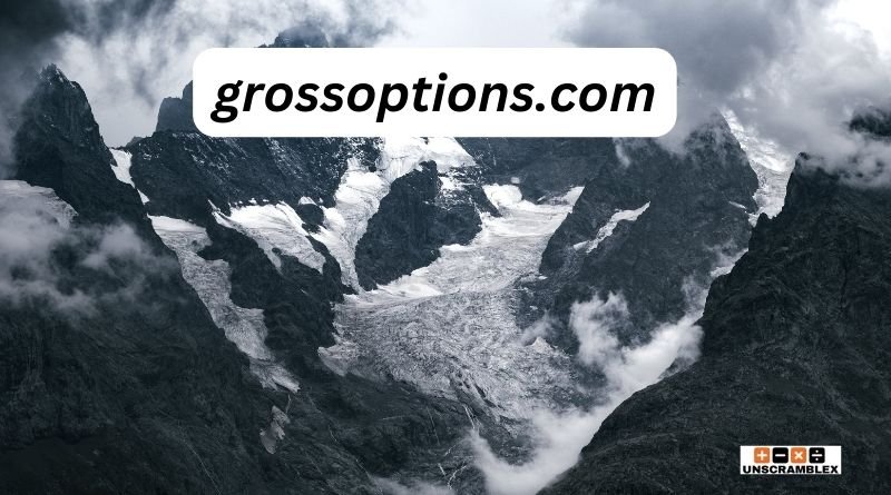 grossoptions.com