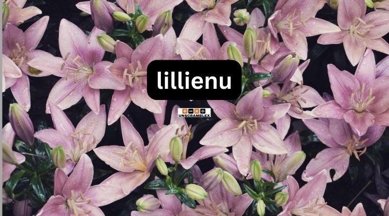 Lillienu