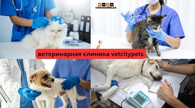 ветеринарная клиника vetcitypets